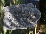 image of grave number 766220